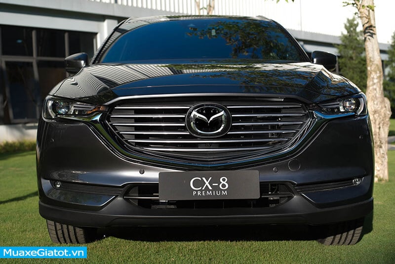 Mazda CX-8 2022: đánh giá xe, giá bán & hình ảnh