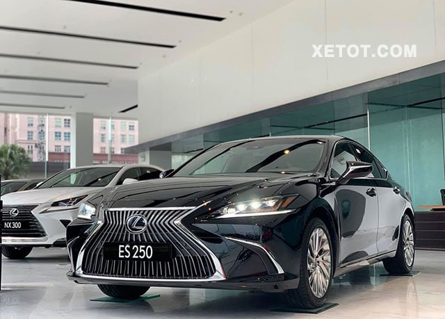 Đánh giá xe Lexus ES 250 2021, “con gà đẻ trứng vàng” của Lexus tại Việt Nam