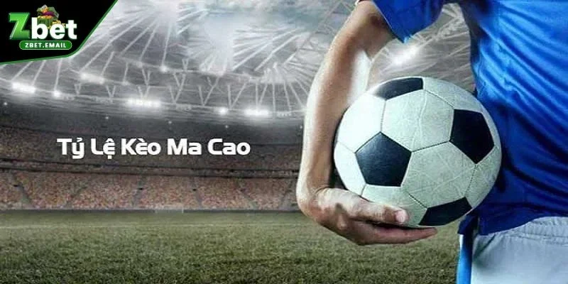 Bật mí các loại tỷ lệ cá cược