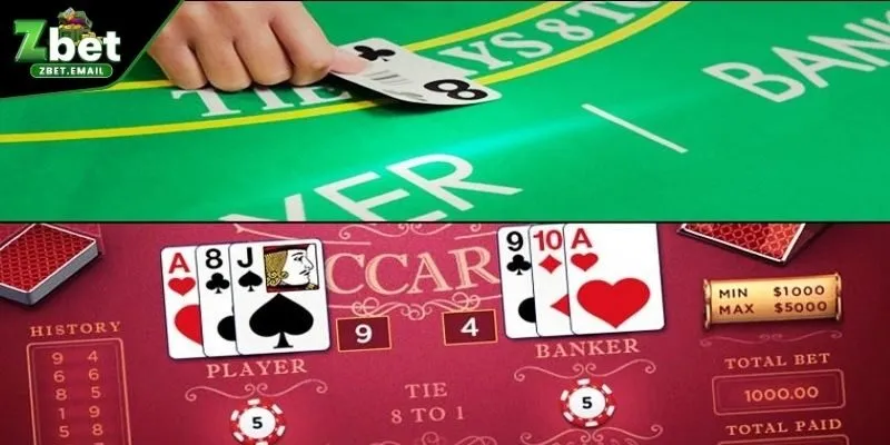 Đánh giá ZBET có thực sự uy tín