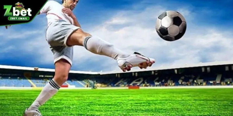 Hướng dẫn từ chuyên gia