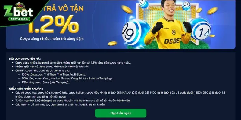 Tìm hiểu vài nét về ưu đãi ZBET hoàn trả cược vô tận