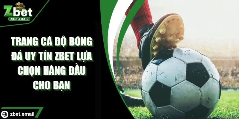 trang cá độ bóng đá uy tín